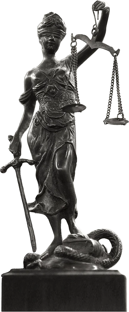 Objective and Professional Legal Support Services
